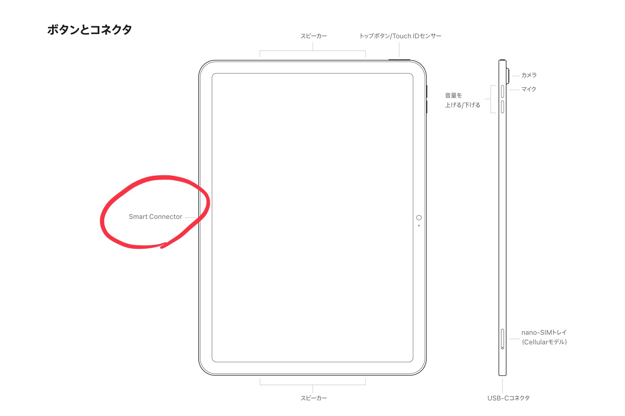 iPad 第10世代のSmart Connectorの位置