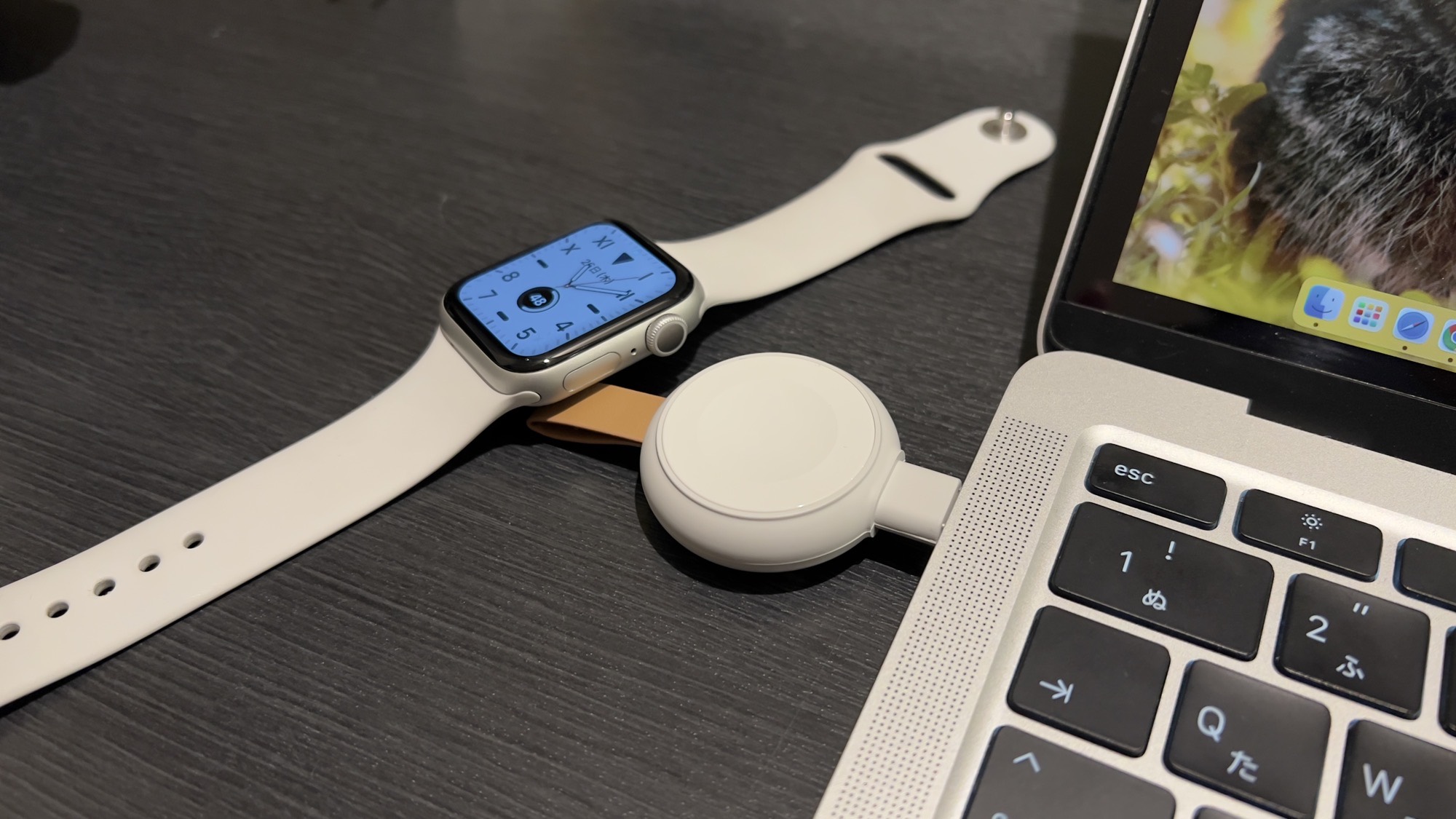 Apple Watch USB Type-C 充電器